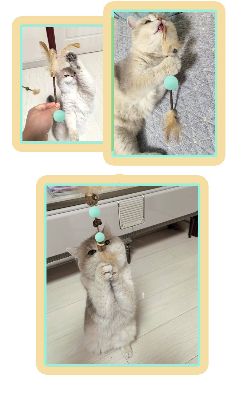 Pelota el&aacute;stica