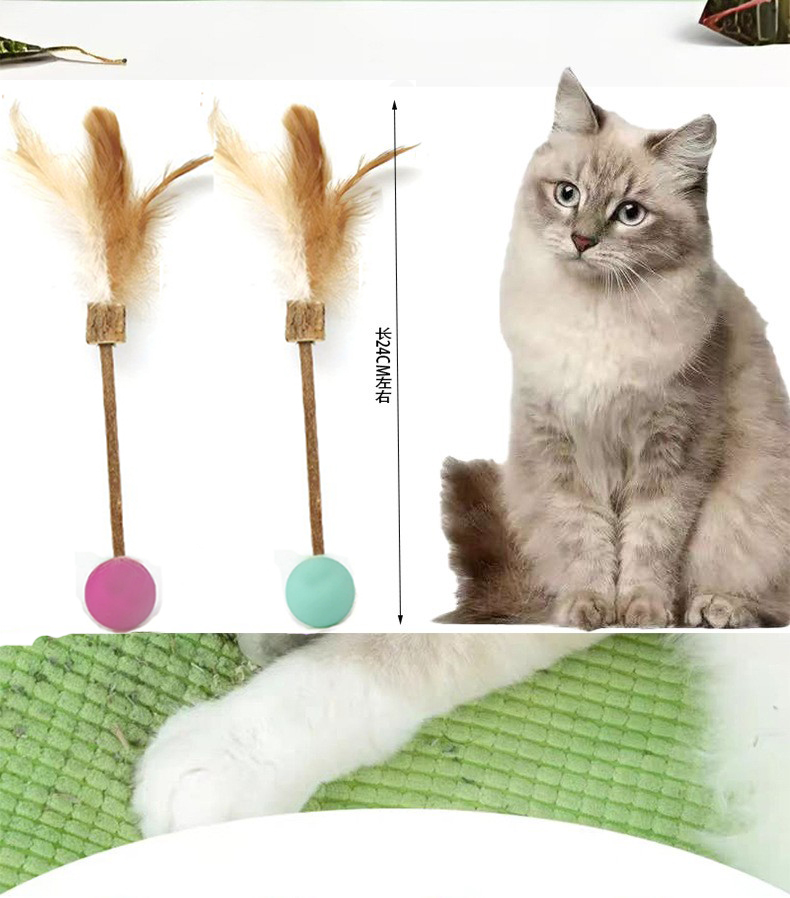 Pelota el&aacute;stica