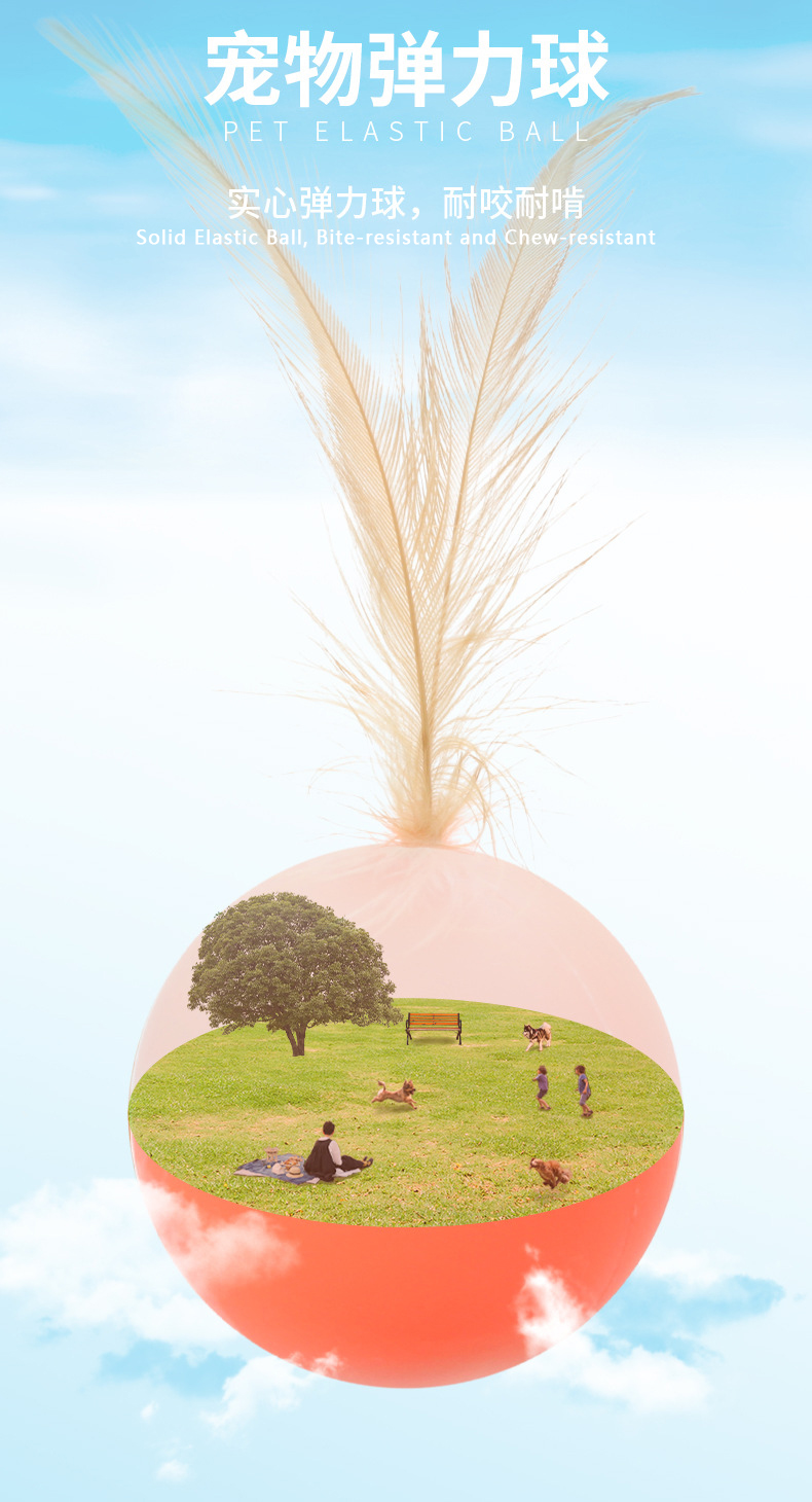 Pelota el&aacute;stica